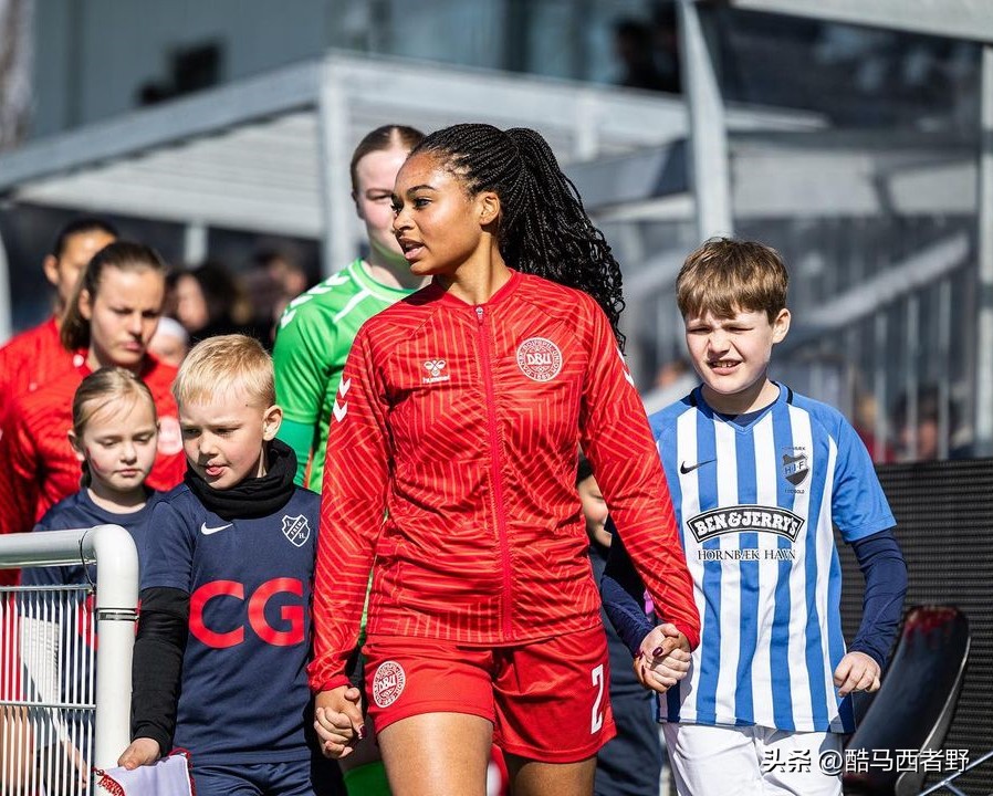 丹麦足球青训俱乐部,丹麦足协