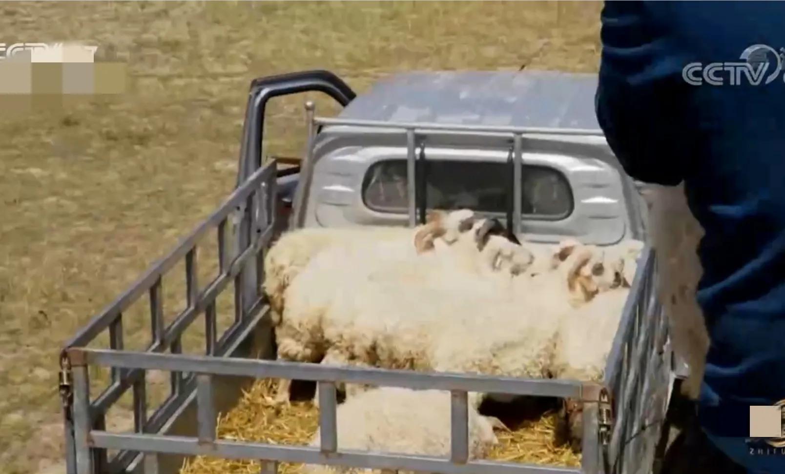 小伙承包80亩土地变成基本农田,农村小伙承包300亩地