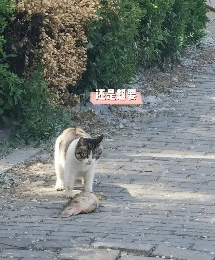 闺蜜送了一个房子,闺蜜送给我一个房子