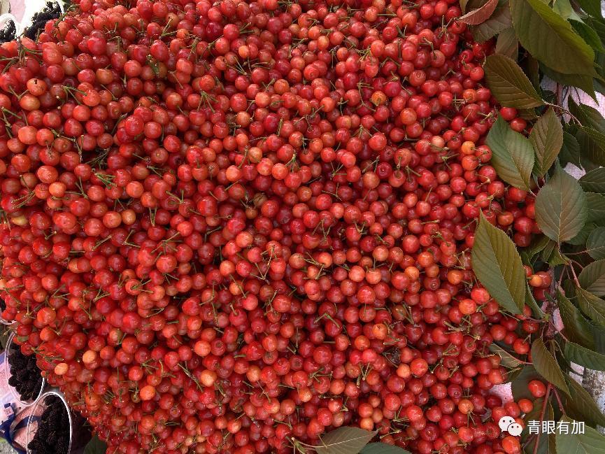 乡愁南阳,家乡南阳