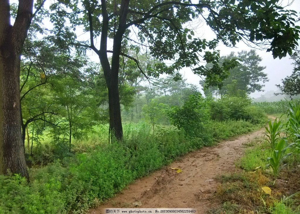 老年人退休生活每日安排,退休后老年人最舒服的生活日常