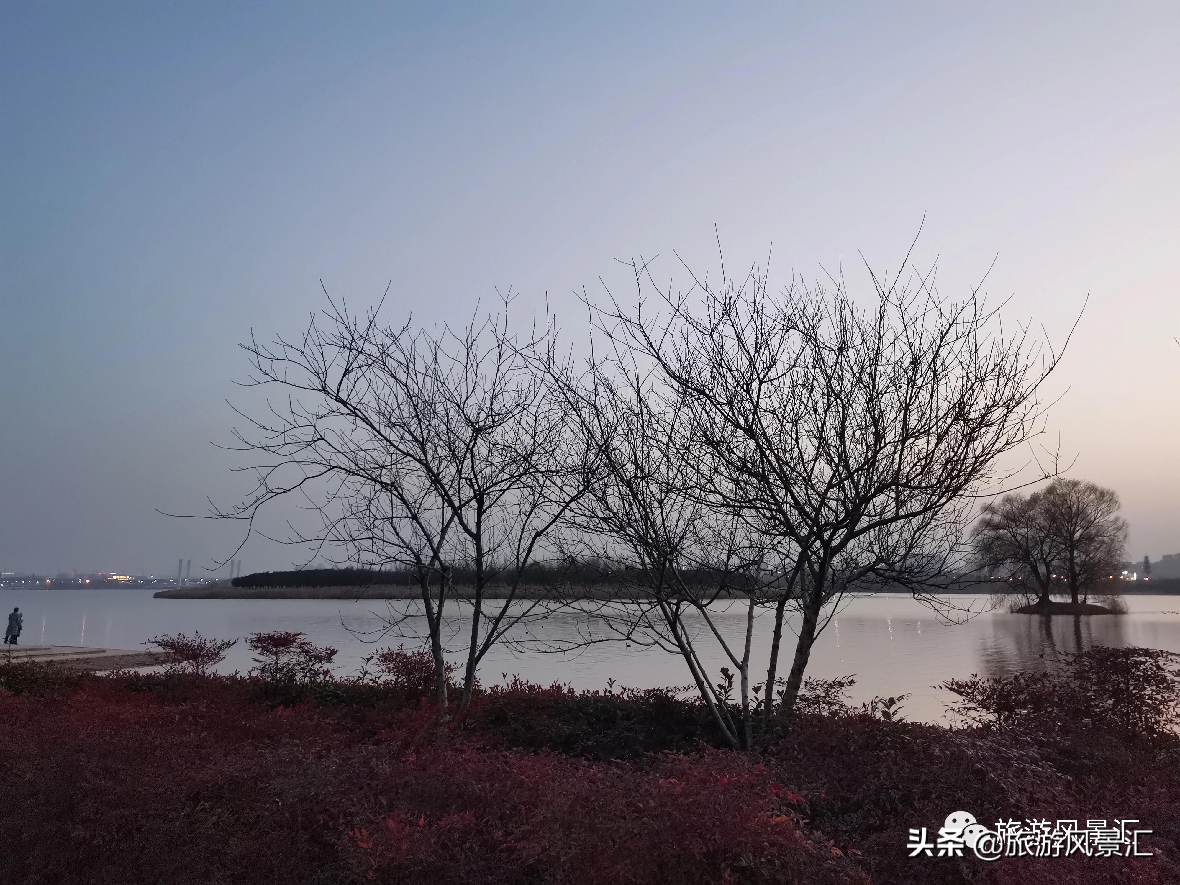 郑州带娃打卡好去处免费公园,郑州北龙湖湿地公园网红打卡圣地