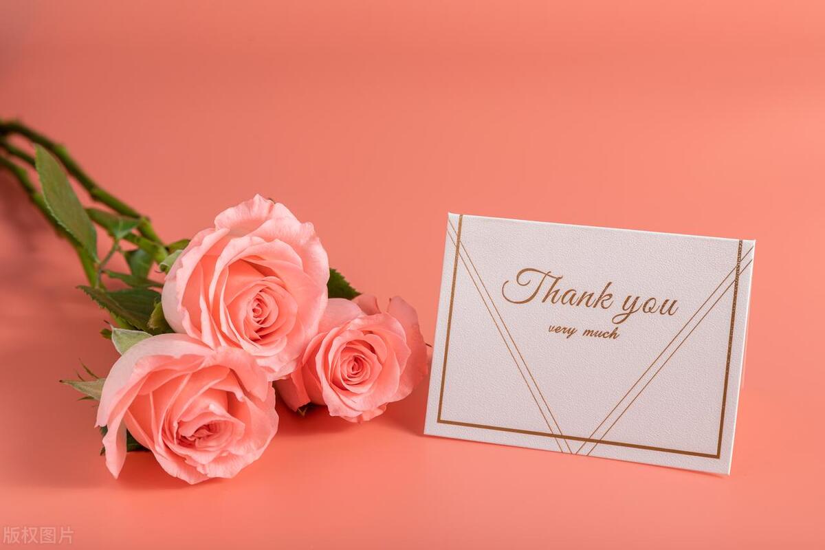 毕业季送给老师的礼物,东北送老师什么礼物比较好