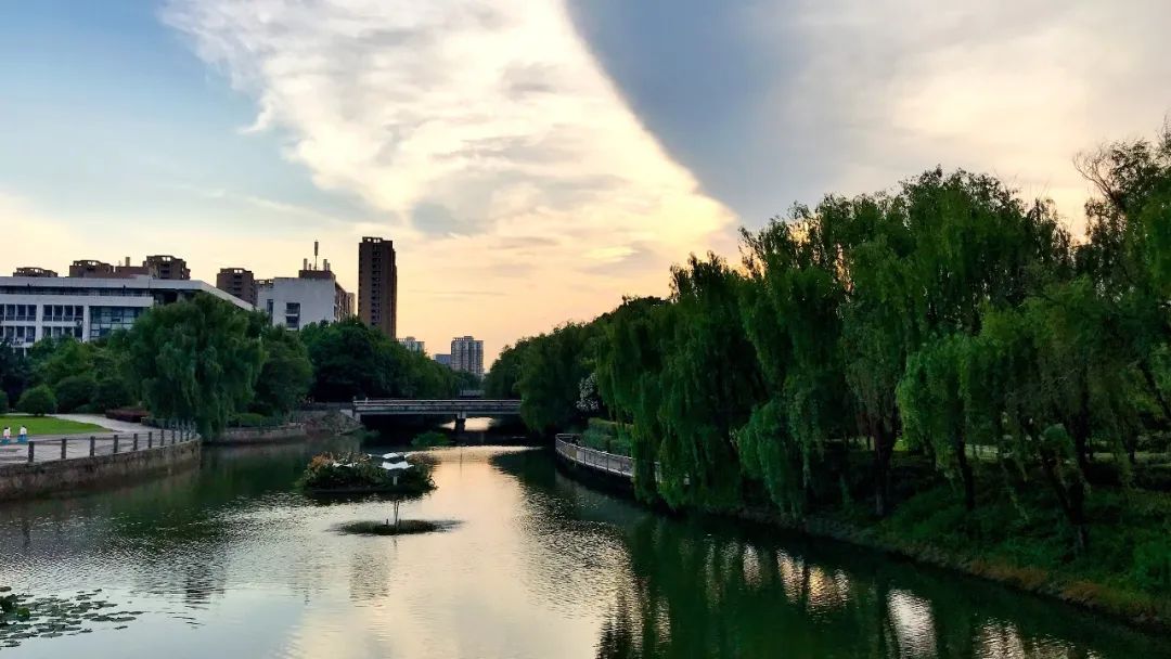 浙大城市学院为什么会变成公办的,浙大城市学院未来前景