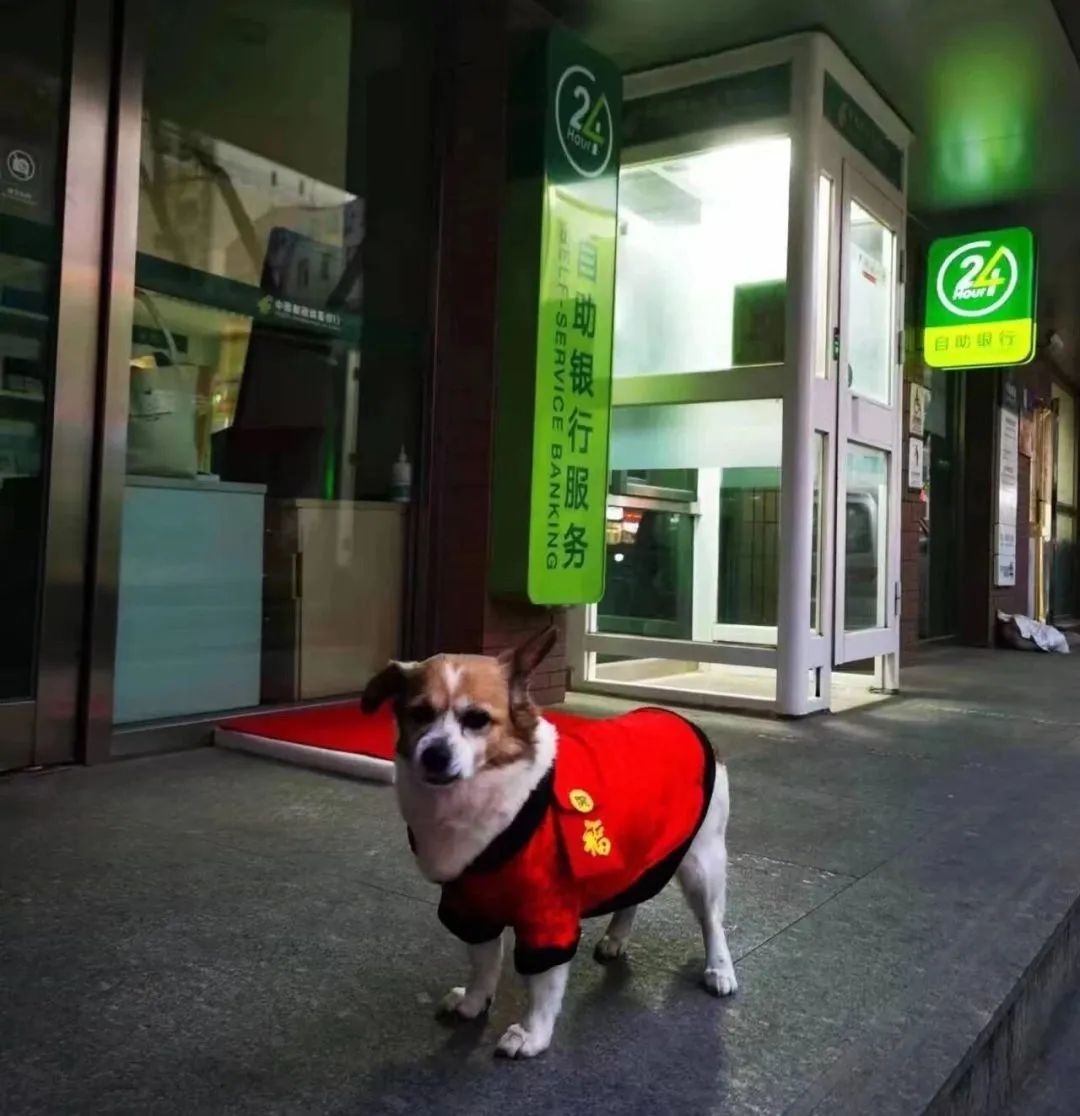 在绿色的邮政挖呀挖呀挖→