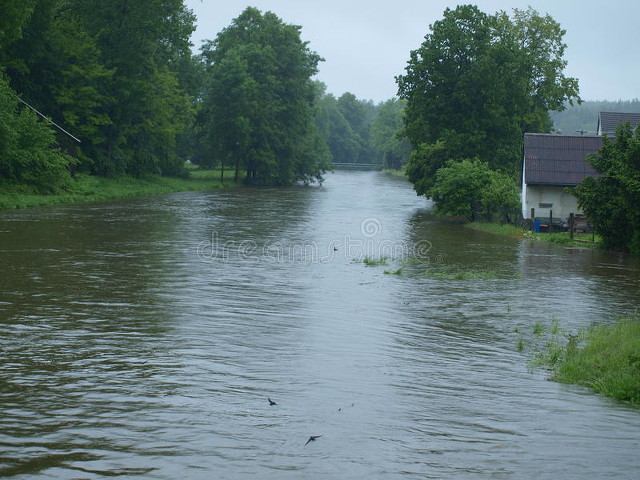 寻找七姐,寻找老年人聊天约会