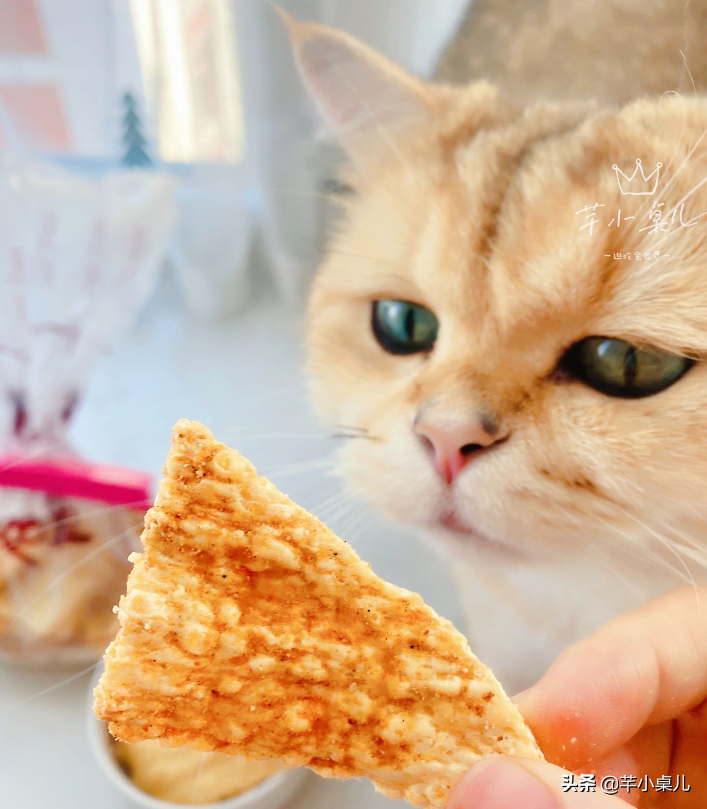 如果你迟早会走进一家红薯坊/地瓜坊，那这些事情需要你提前知道