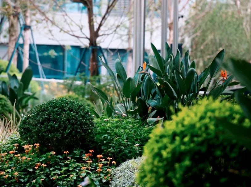 成都d10天府悦风,成都天府d10还房