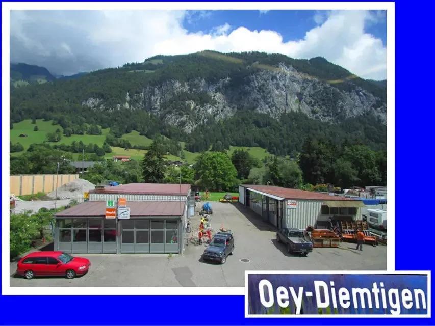 瑞士之行——从蒙特勒到格林瓦尔德