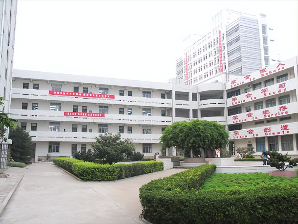 专科和中专哪个学历高,中专毕业生怎么读专科