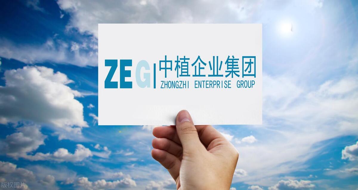 中植系暴雷,亿万金融崩塌,金融*局骗**背后是什么