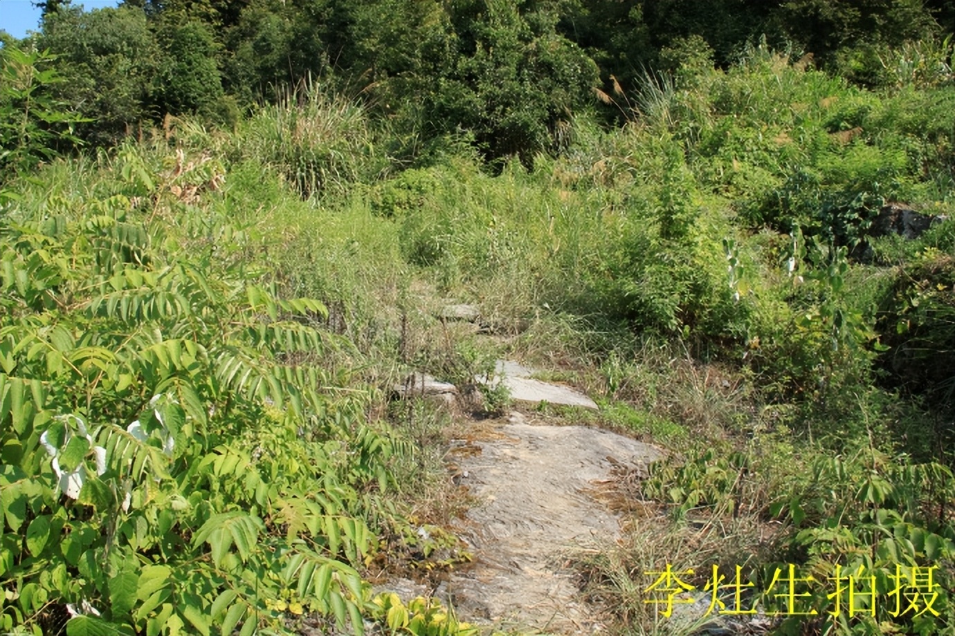 郴乐古道之水头江宜乐古道--广东省乐昌市庆云镇