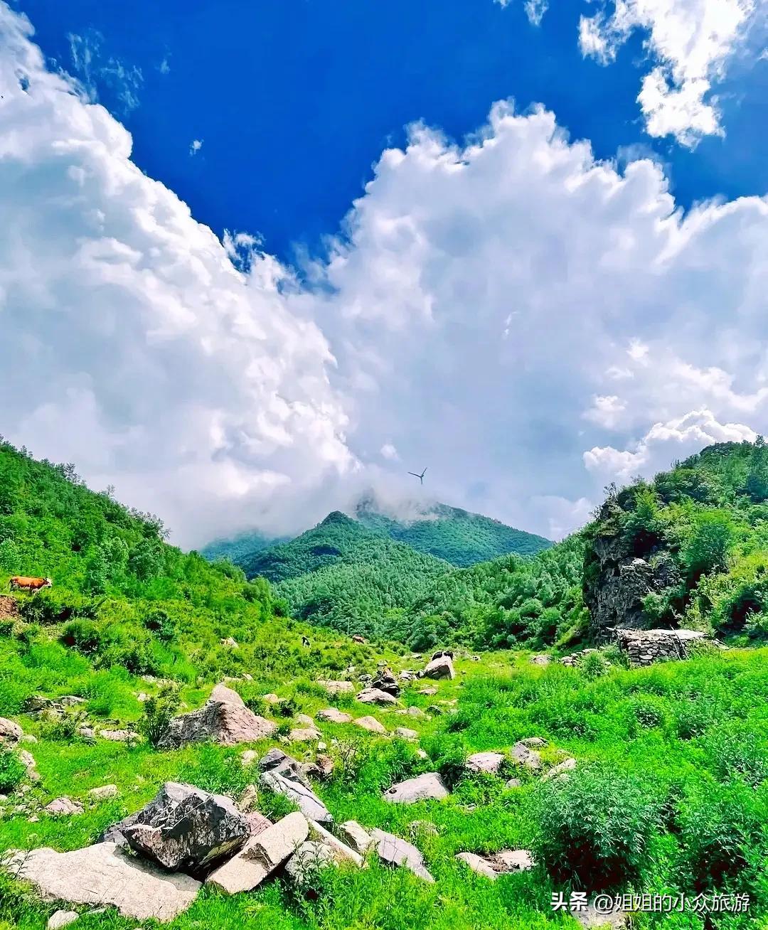 藏在深山无人知的图片,藏在深山无人知视频