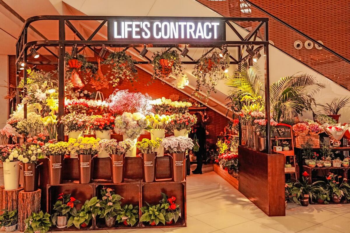 杭州花店如何经营和发展,杭州花店骗局后续