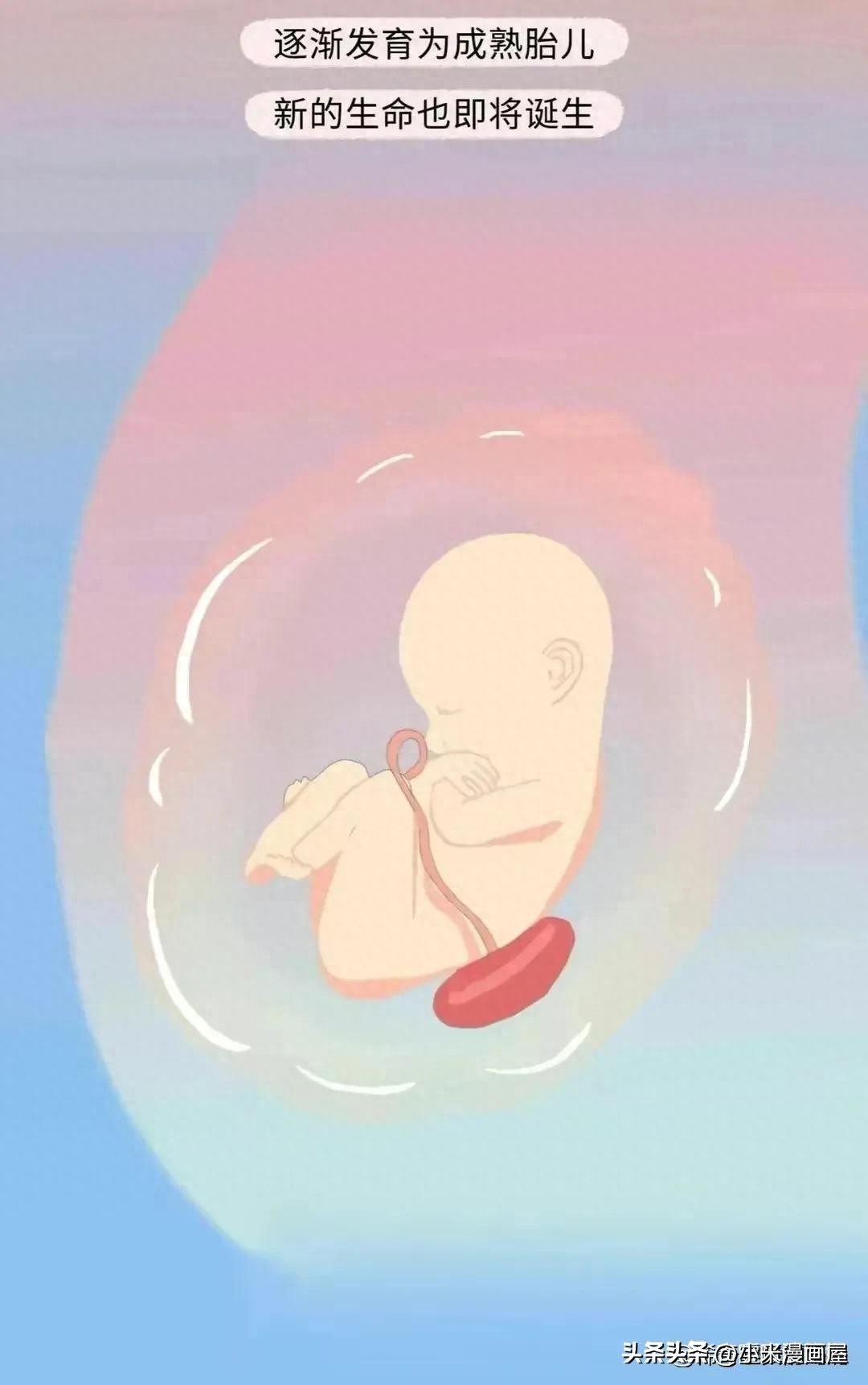 小蝌蚪找妈妈故事完整漫画,漫画中小蝌蚪是什么