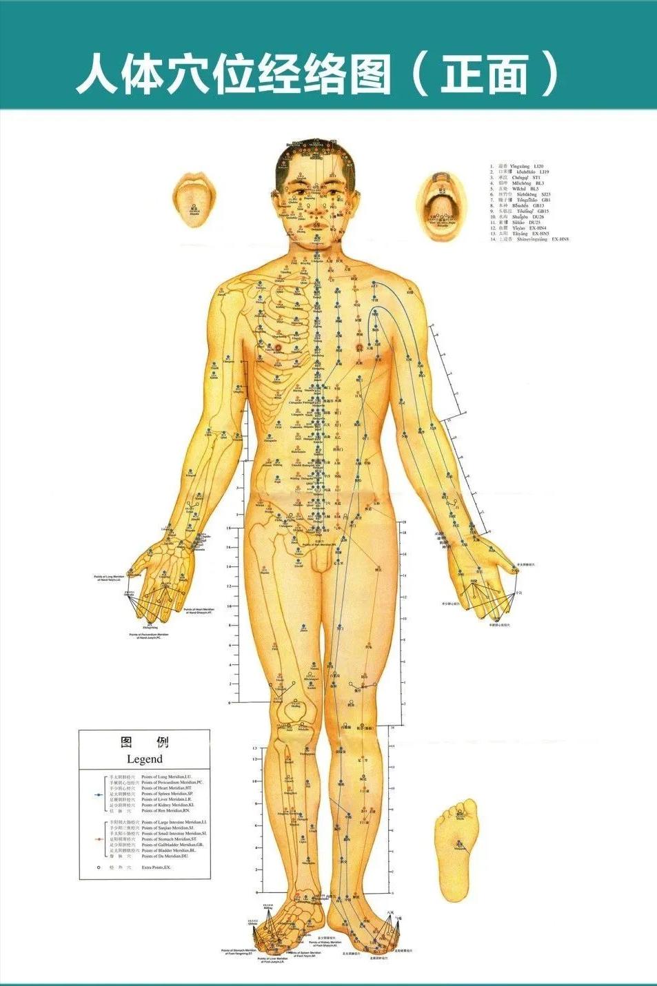 《伤寒论》里的千古名方：小柴胡汤，妙用可治甲状腺、乳腺结节