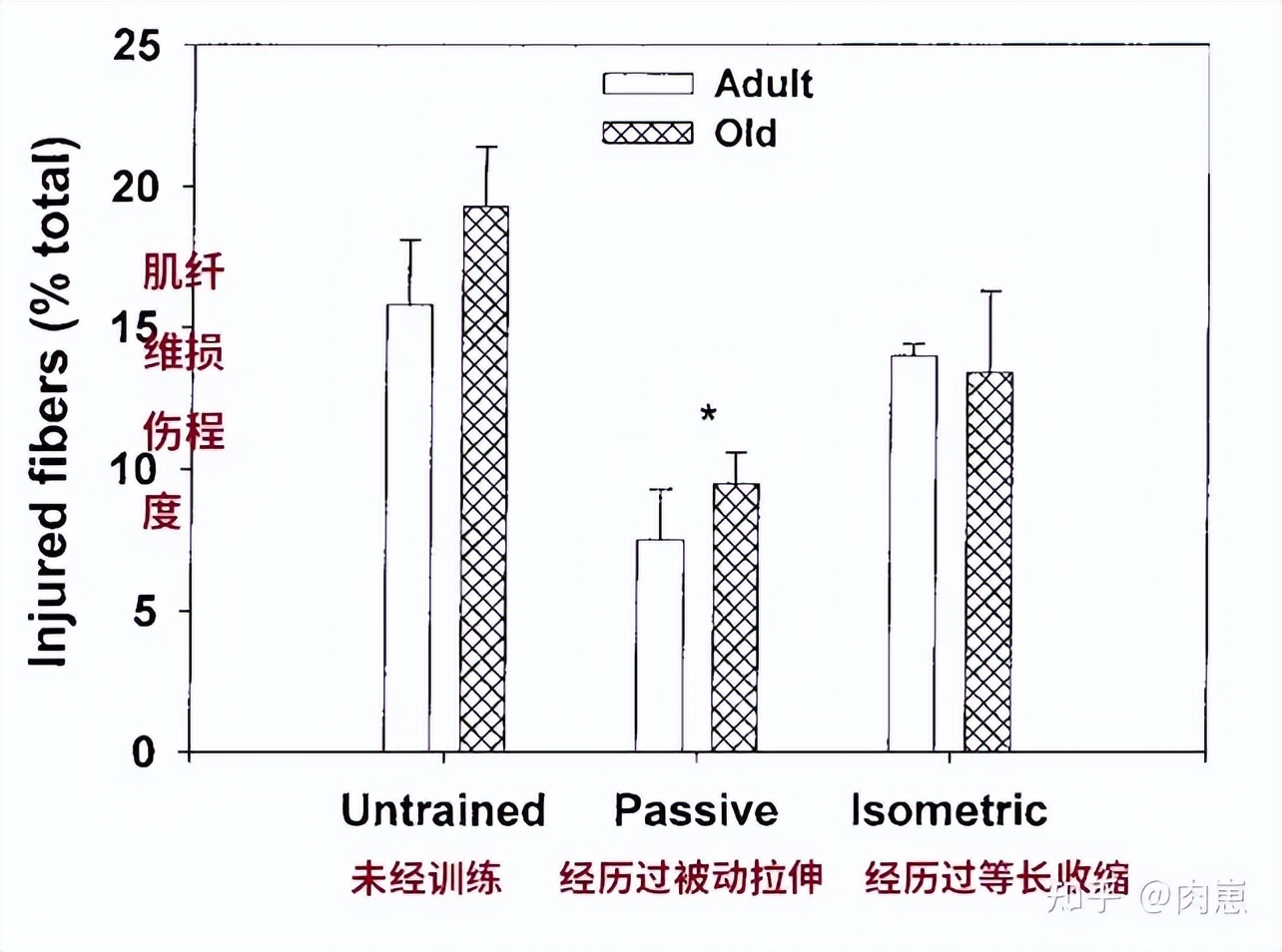训练后拉伸的重要性,力量训练后拉伸放松动作