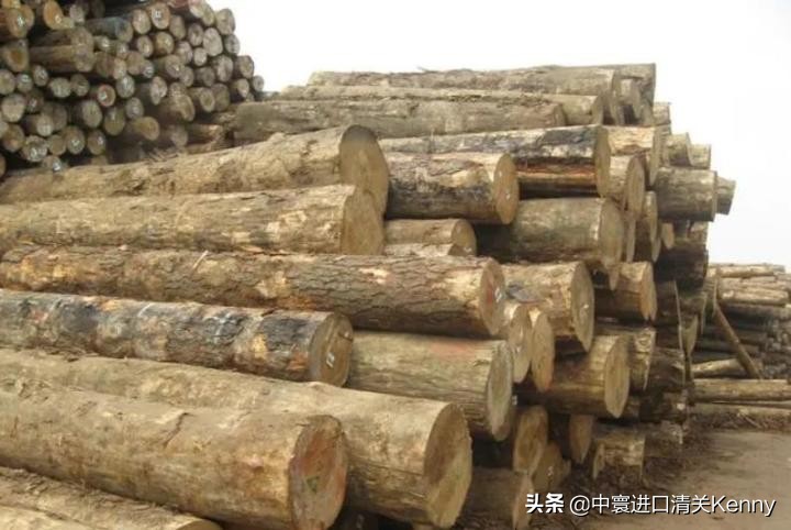 澳大利亚辐射松进口,辐射松木材的加工流程