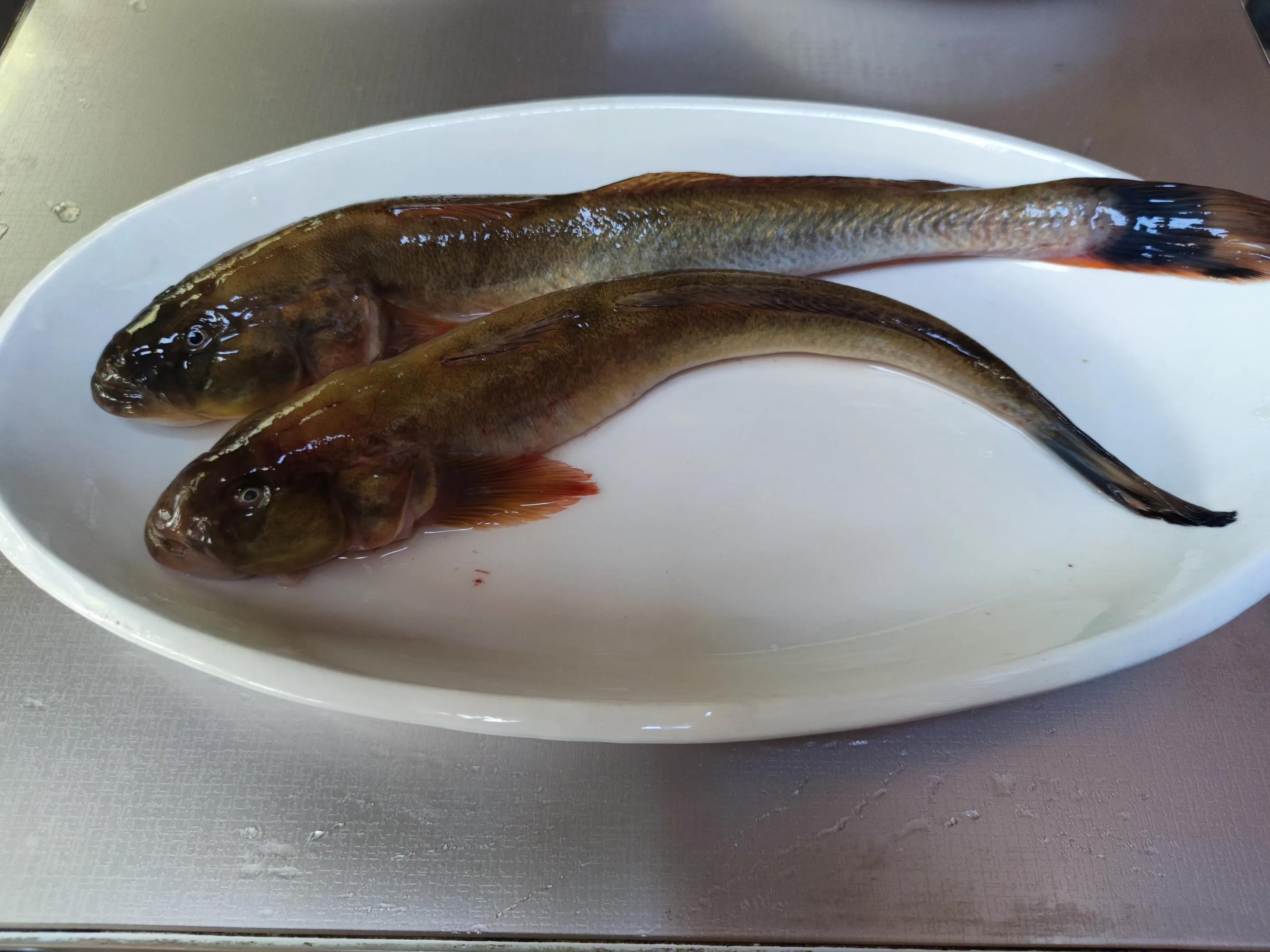 海鱼最好吃排名前十名,偏甜的海鱼哪几种