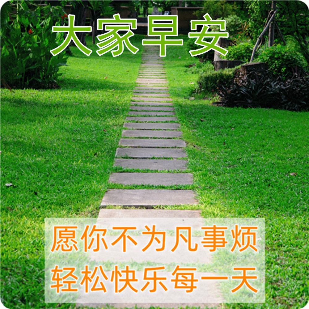 精美早上好动态表情包图片大全,最新早上好表情包动态图片大全