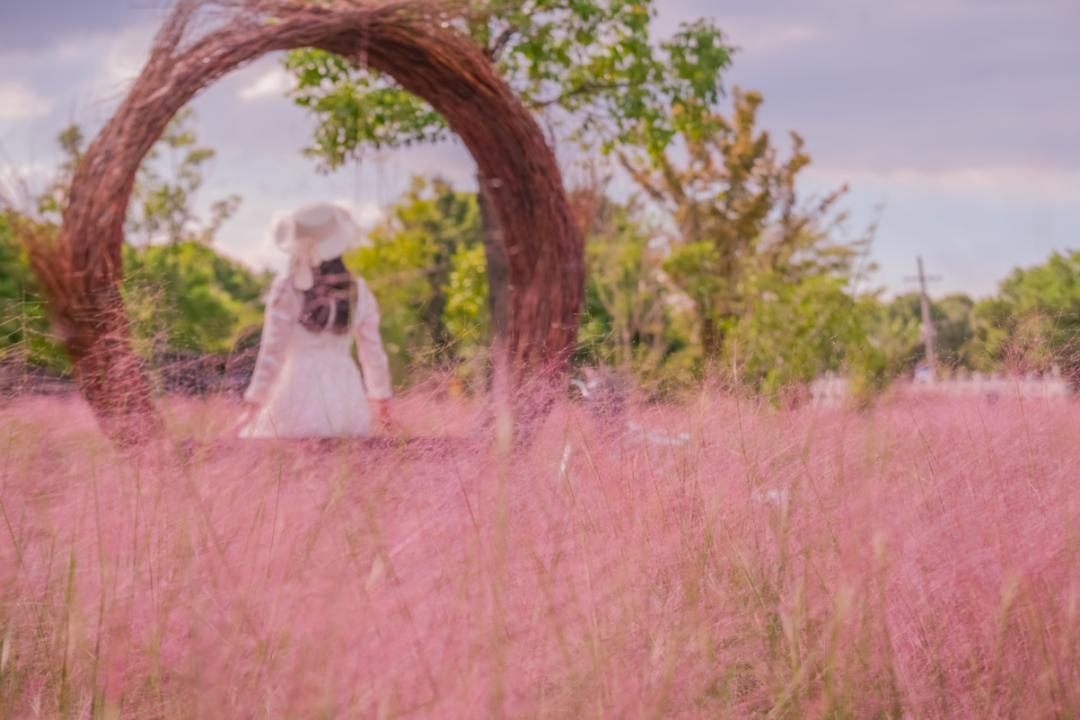 上海郊游一览表,上海郊游