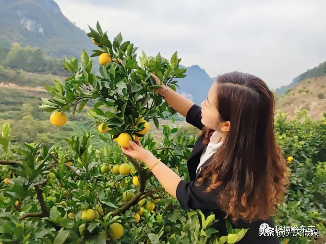 黄平县乡村振兴,黄平县纸房乡各村