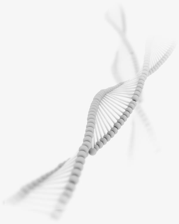 预言“睛”彩，时刻守护