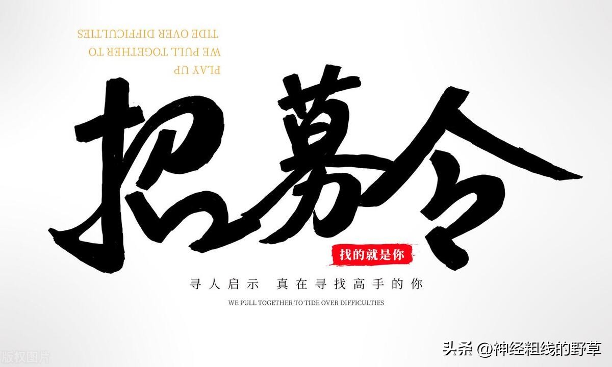 政府劳务派遣有可能转合同工吗,政府的劳务派遣带不带编制