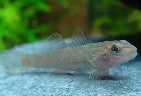 动物千姿百态,动物园的动物千姿百态