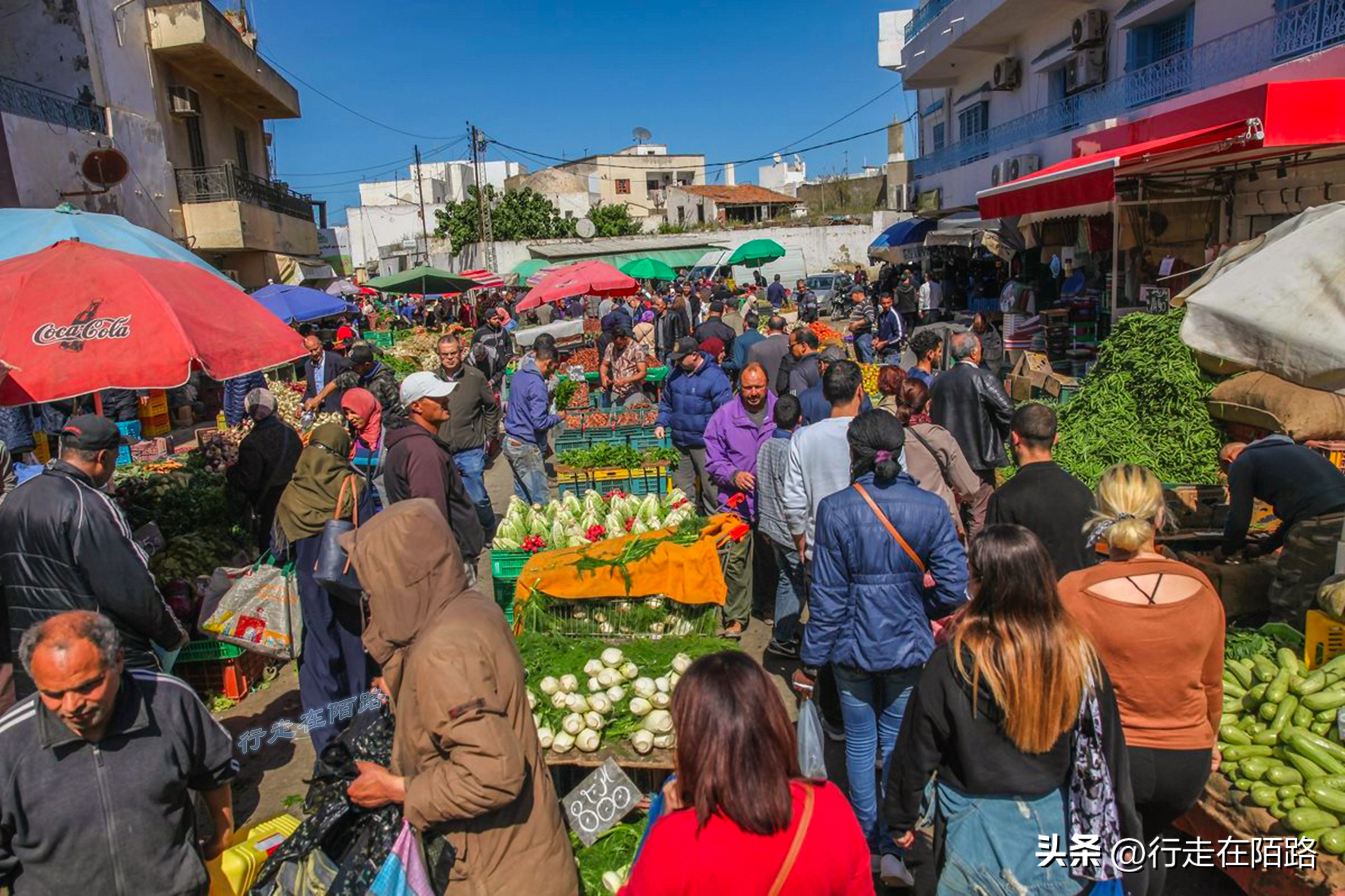 非洲突尼斯：不太一样的穆斯林国家，面积小人口少物价低