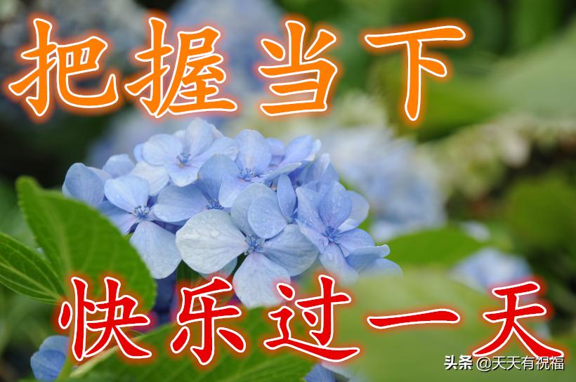 早安祝福语简短问候语图片,最美早安问候祝福语图片带字温馨