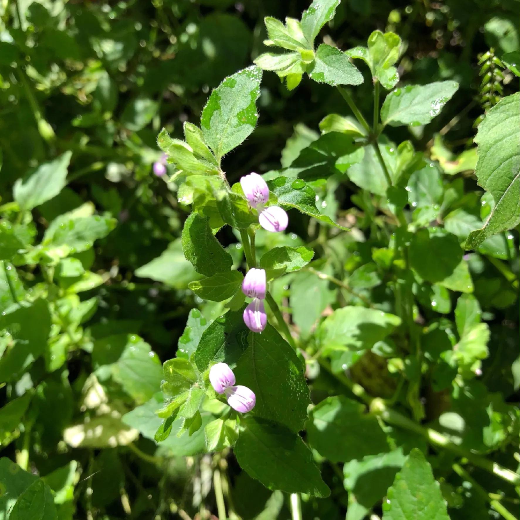 100种迷人的“数字花”,从零到一百万,真是太神奇了