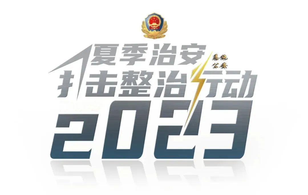 湖北公安行动,湖北警察街头抓捕