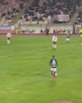 狗子冲进球场,狗子闯进足球比赛