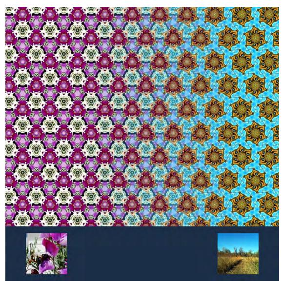 数学家的演讲,数学家谈函数与方程