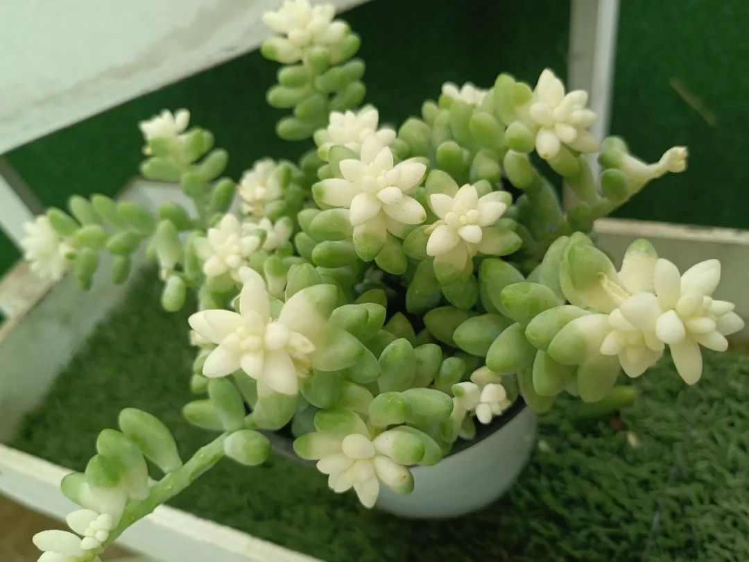 倾听儿童相伴成长主题墙幼儿园,倾听儿童相伴成长幼儿园小班视频