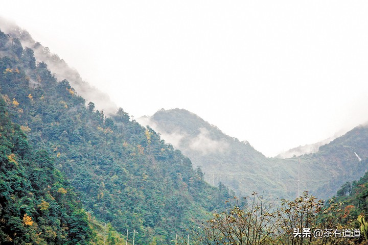 荥经茶马古道徒步线路,雅安荥经茶马古道穿越