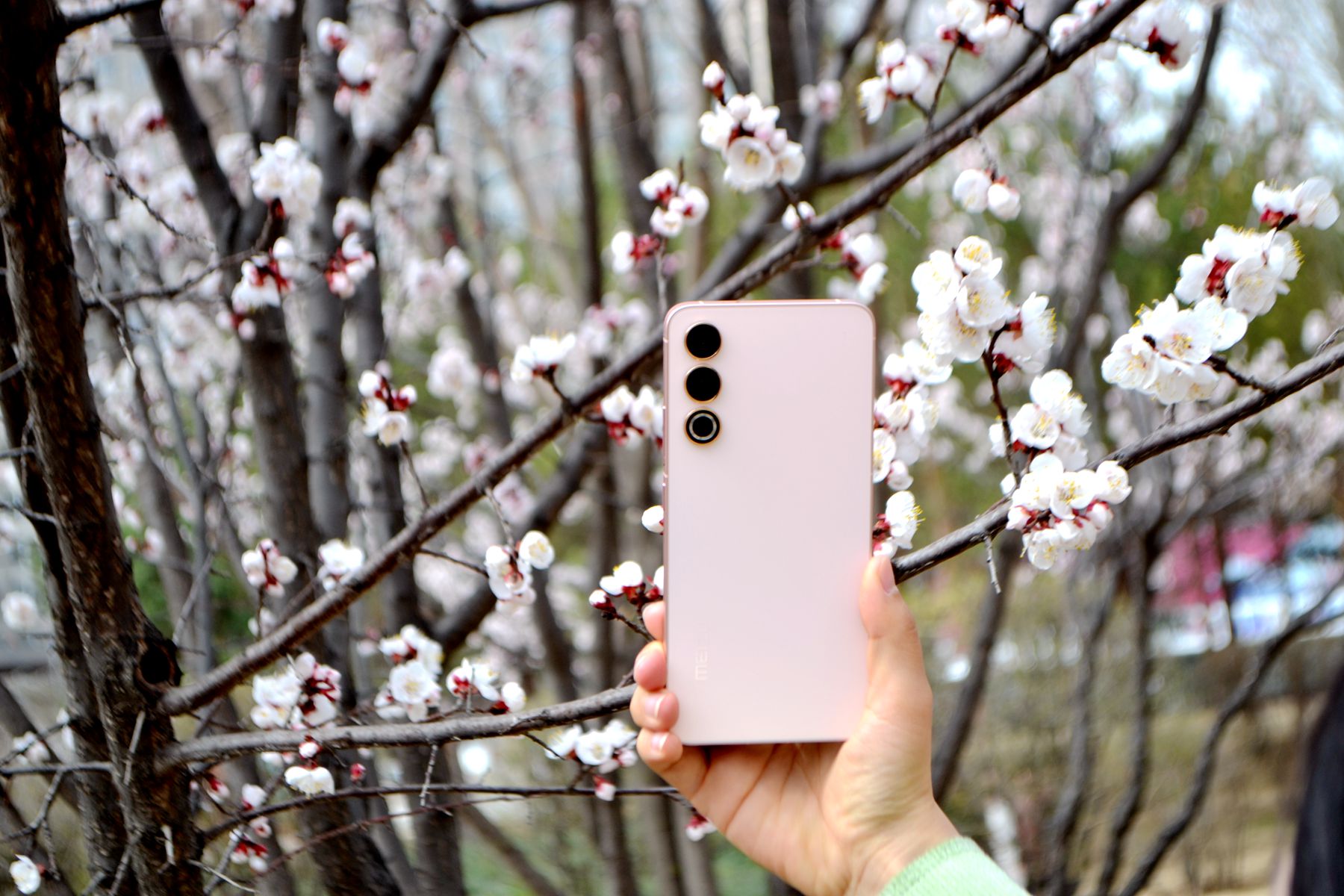 没有短板的手机,没什么短板的手机