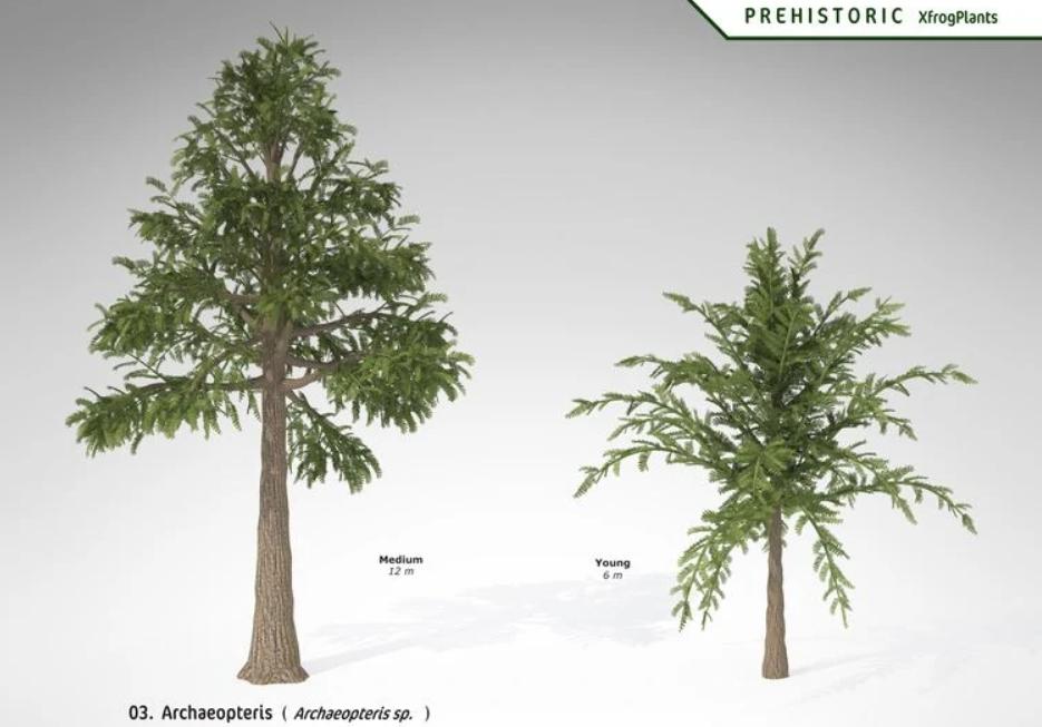 颠覆三观的物种,颠覆三观的蔬菜种植