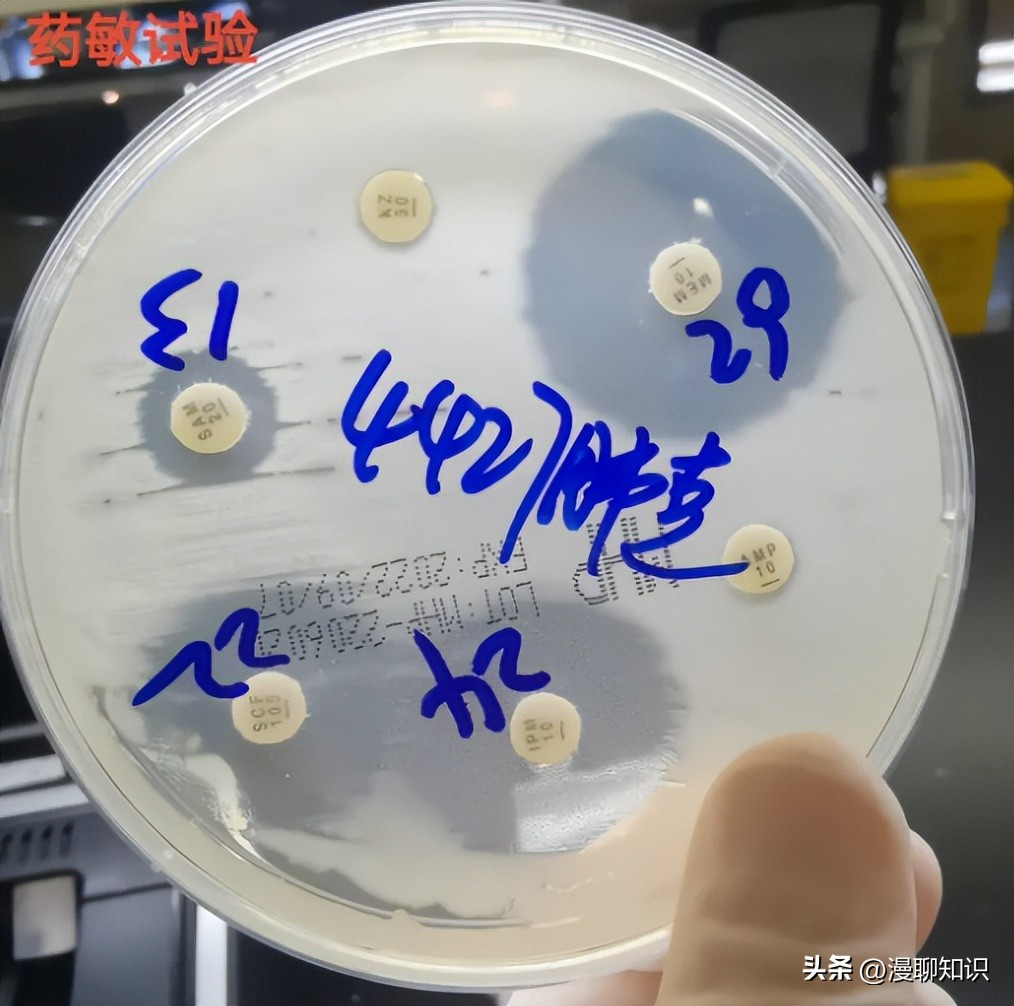 老年人得了肺炎应如何有效医治,肺炎有多严重怎么办