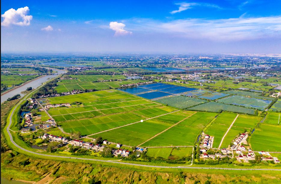 2020年中央一号文件农民粮食补贴,大豆每亩补贴600元