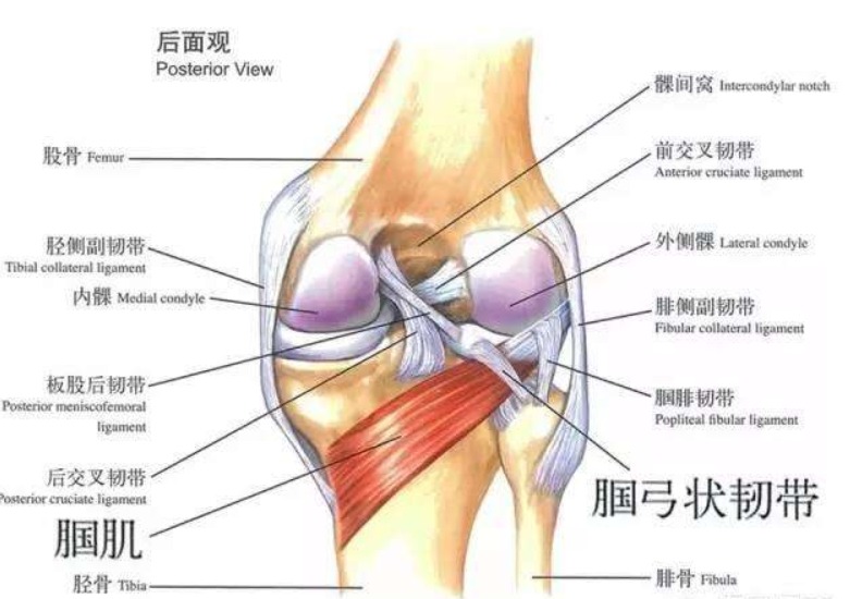卡梅罗安东尼伤病史,安东尼腿筋拉伤