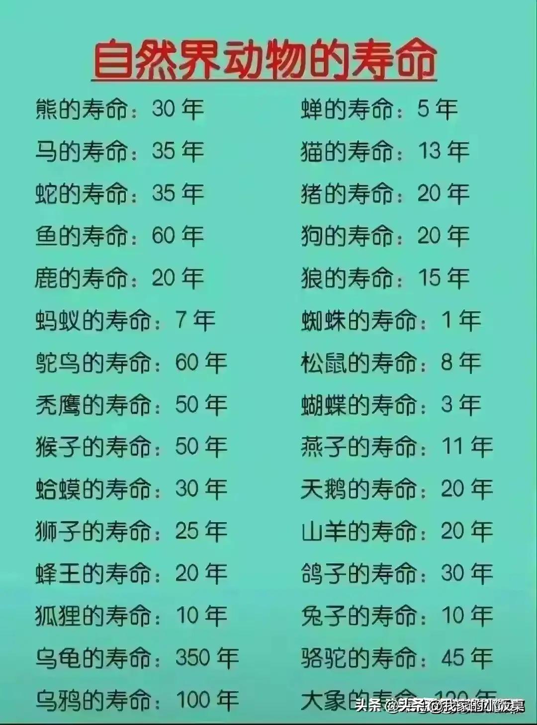 中国啤酒品牌排行榜,百威啤酒和青岛啤酒哪个好喝