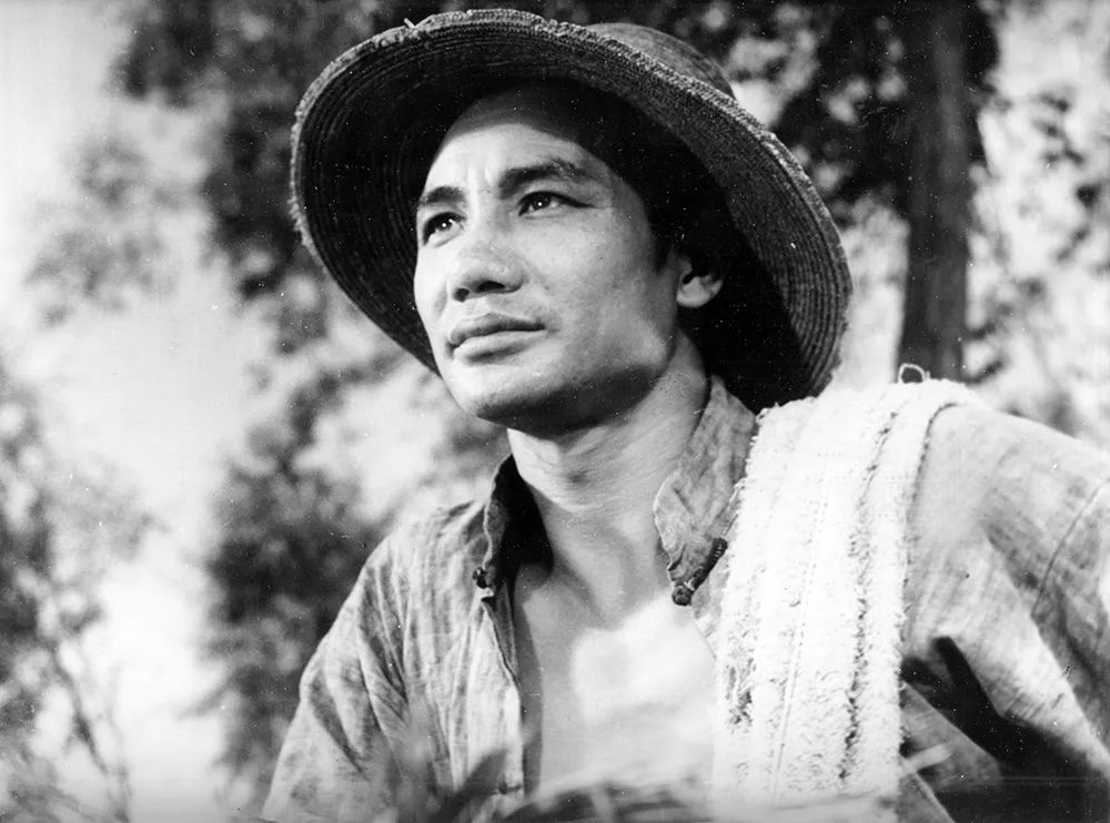 老演员张莹有孩子吗,老演员张莹死亡原因