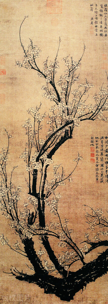 我是人间自在客好词好句,我是人间自在人全诗