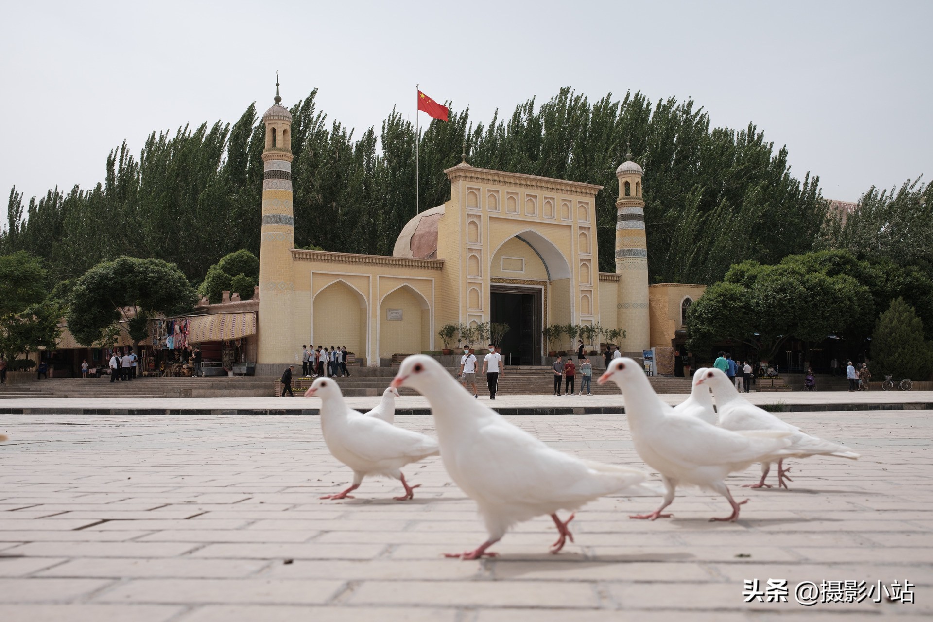 富士哪一款相机性价比最高,富士哪一款性价比高