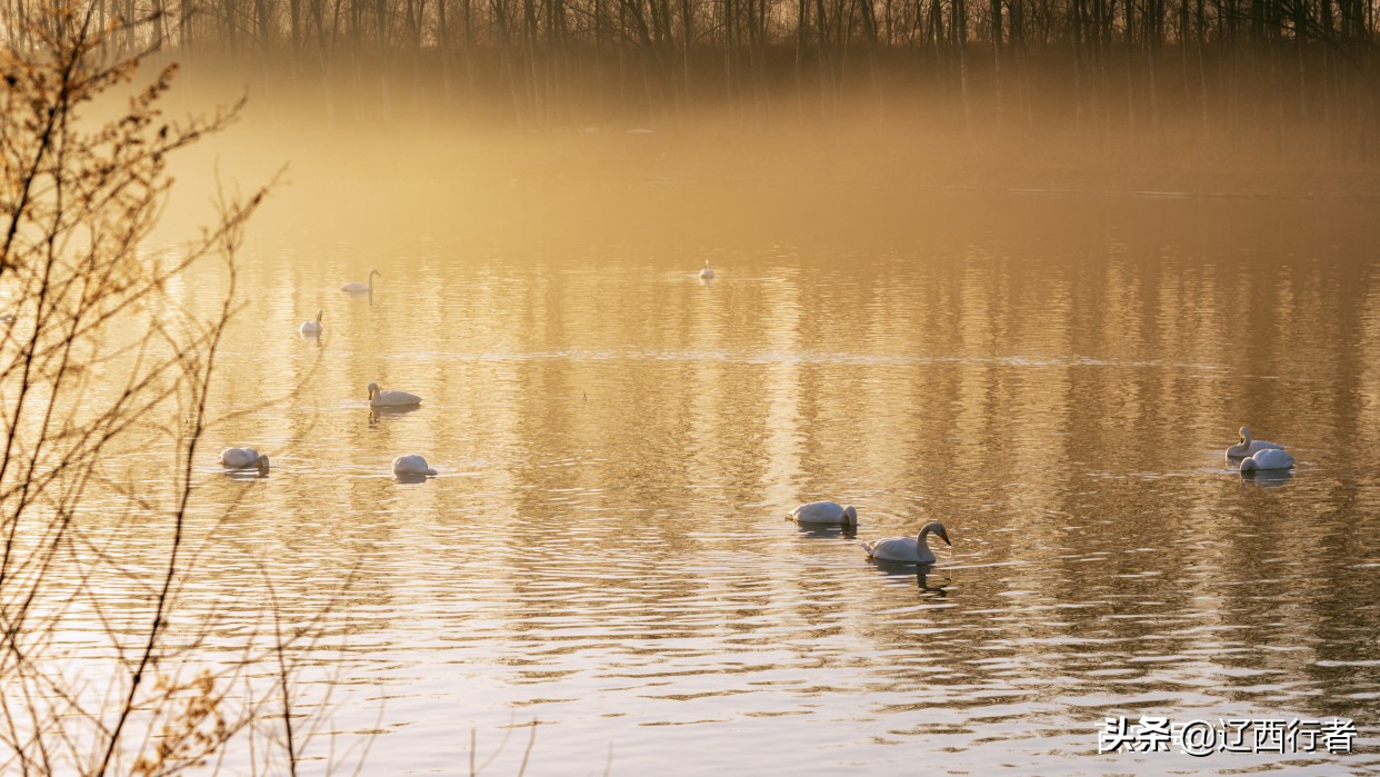 漫步天使乐园(旅拍)