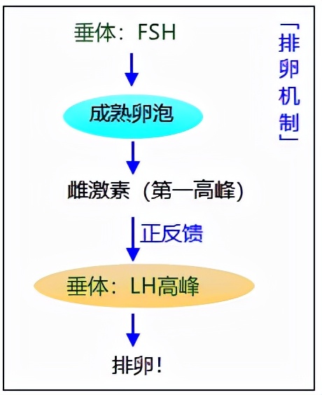 怕ta不来，又怕ta乱来！女生关于月经那点事儿