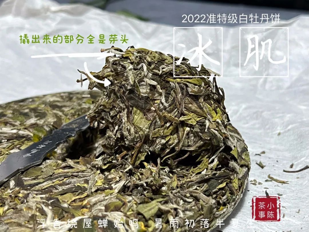 福鼎白茶饼357克尺寸,如何选择白茶饼