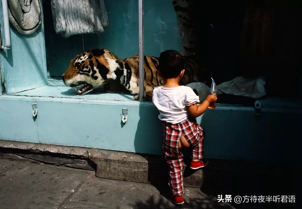 1984年的北京城，皇城根儿下的日常影像